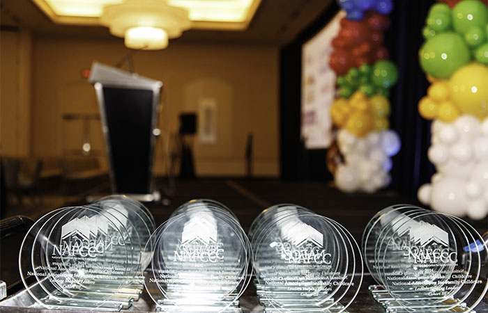 Leaders Shaping Leaders